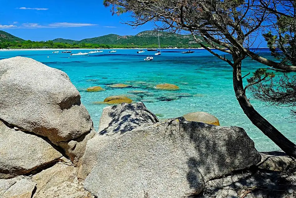 Plage de Palombaggia en Corse