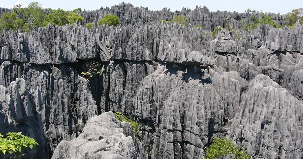 La réserve de Tsingy de Bemaraha à Madagascar : un labyrinthe naturel unique