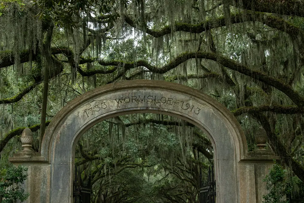 chêne recouvert de mousse au dessus d'une tombe dans le cimetière de Bonaventure, Savannah, Géorgie, États-Unis