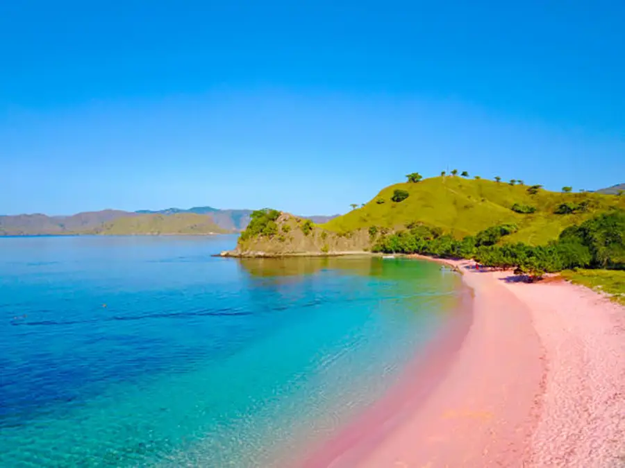 plage rose de l'ile de Lombok