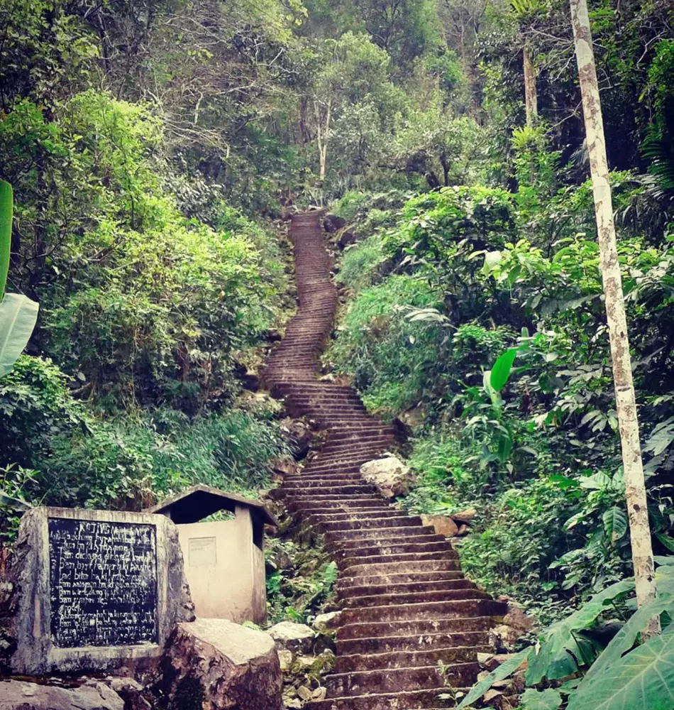 Randonnée descendant les nombreuses marches à travers la jungle dense pour atteindre Nongriat et le pont de racines, Meghalaya