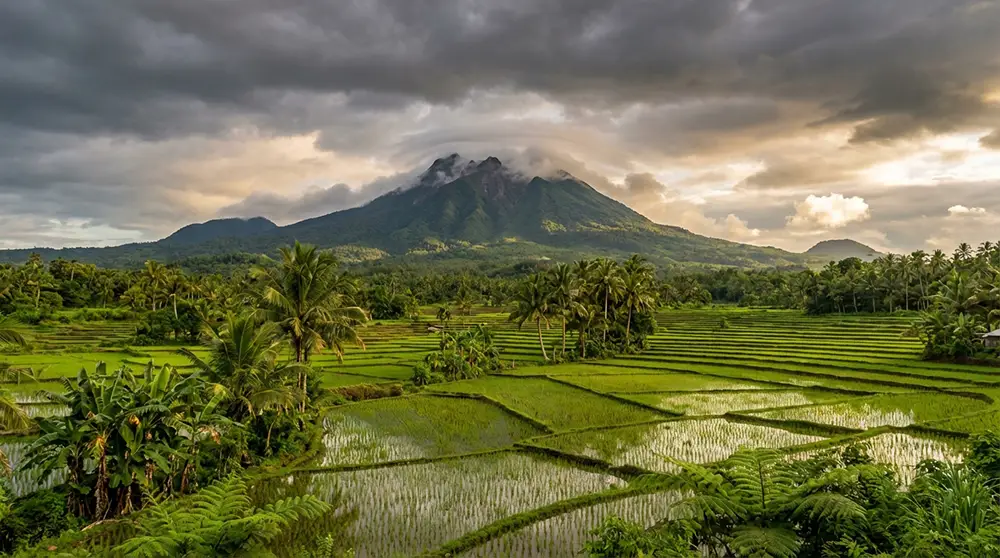 Volcan Hibok-Hibok à Camiguin vu depuis les terres agricoles avec végétation tropicale et nuages au sommet