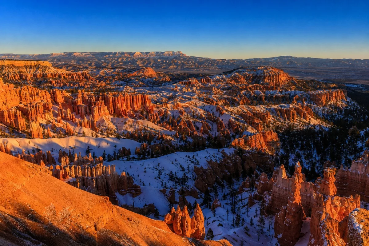 Amphithéâtre naturel de Bryce Canyon avec ses milliers de hoodoos orangés et blancs sous un ciel bleu intense, Utah