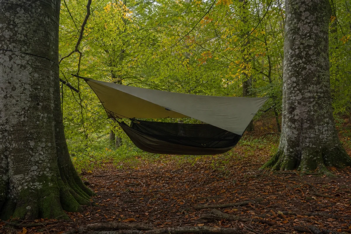 Hamac de bivouac suspendu en forêt française Hamac de randonnée avec tarp suspendu entre deux hêtres dans une forêt française en automne