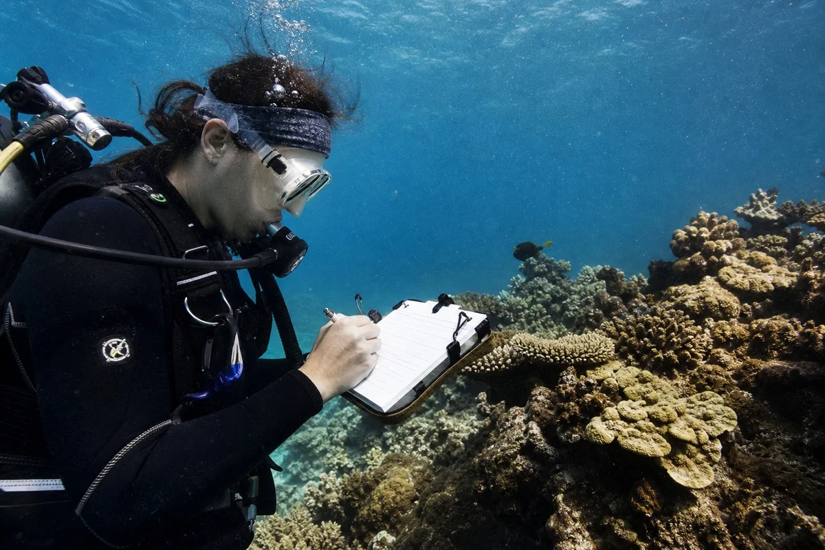 Plongeur éco-responsable notant des données sur une ardoise sous-marine lors d'une mission Reef Check de science participative