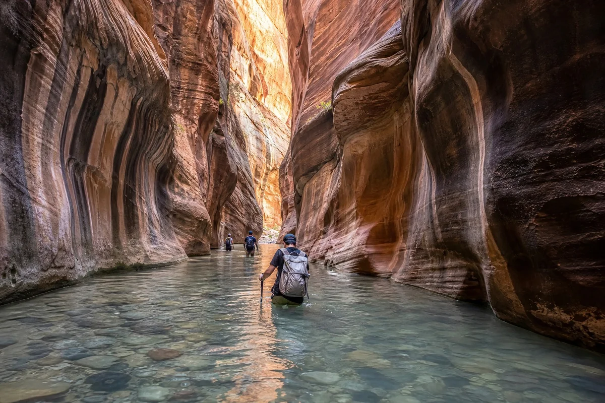 Randonneurs marchant dans la Virgin River à travers les étroits canyons de The Narrows dans Zion National Park, Utah
