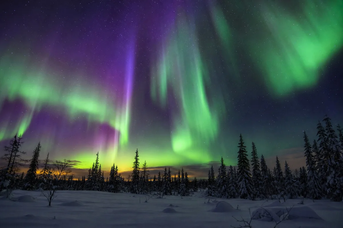 Aurore boréale verte au-dessus d'un paysage enneigé de Laponie